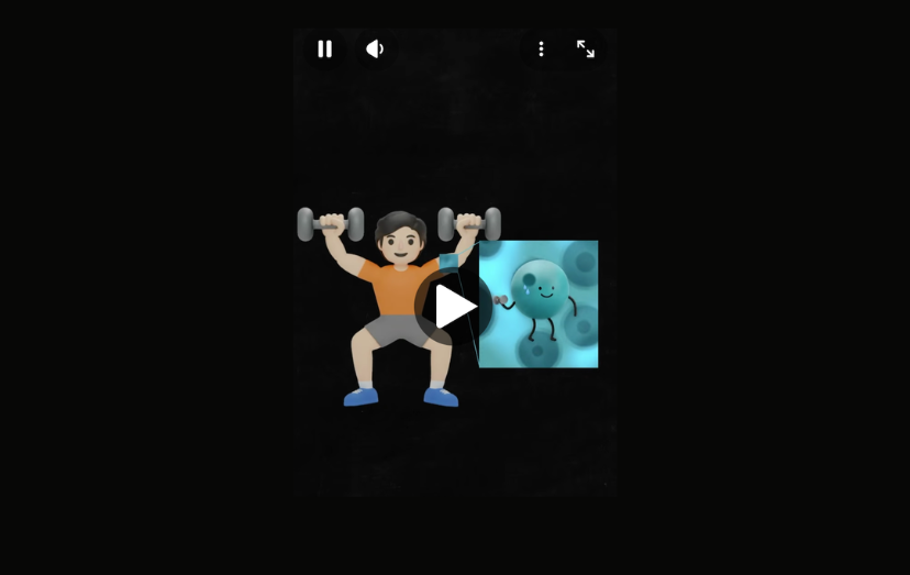 Muscle mass